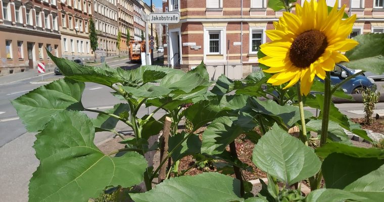 Impressionen Sommer2020